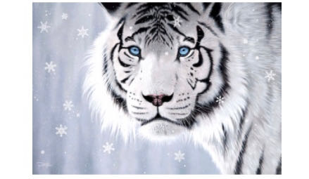 Geppetto’s Pinocchio