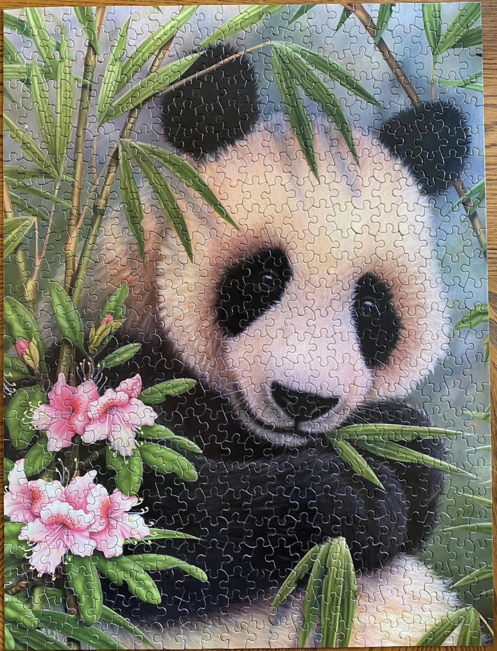 Lovable Panda Giving Away Color Off A Tab - White Mountain puzzle collectible [Barcode 724819250523] - Main Image 2
