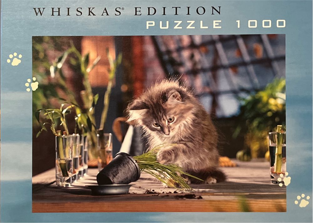 Labor Day in Bungalowville