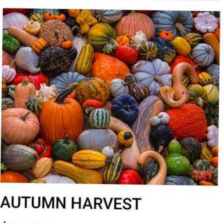 The Orchid Society, NNG