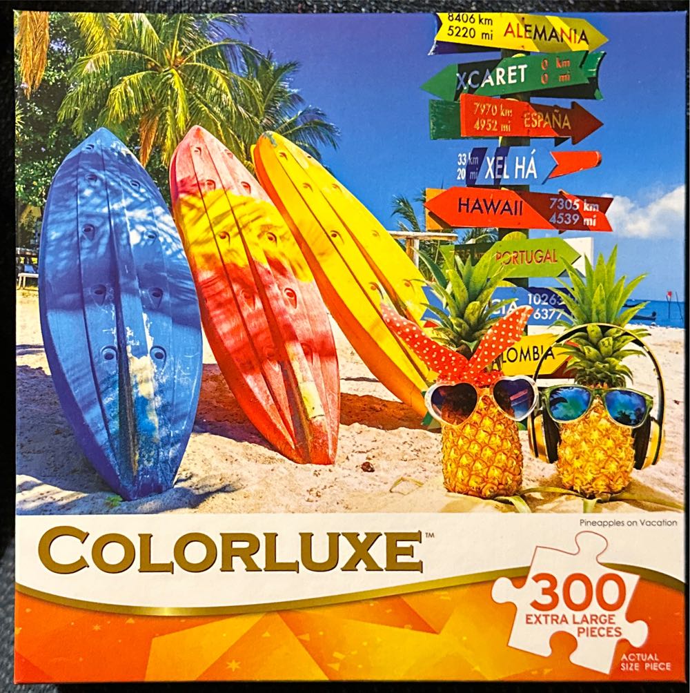 Colorful Birds Panorama Heads Up