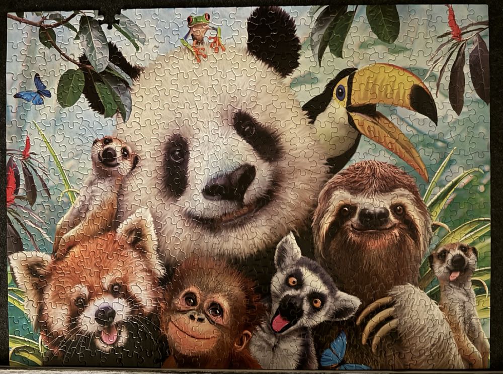 Selfies - Ceaco 🇺🇸 puzzle collectible [Barcode 9781940271446] - Main Image 2