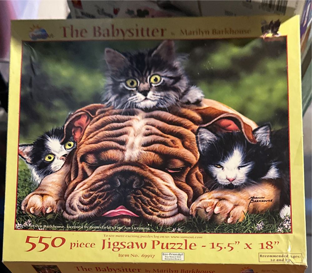 Winchester High Street Browing Through The Shops