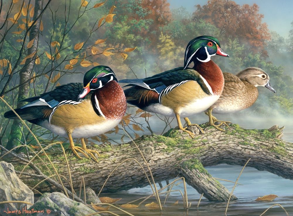 Toren van Babel Coll Item