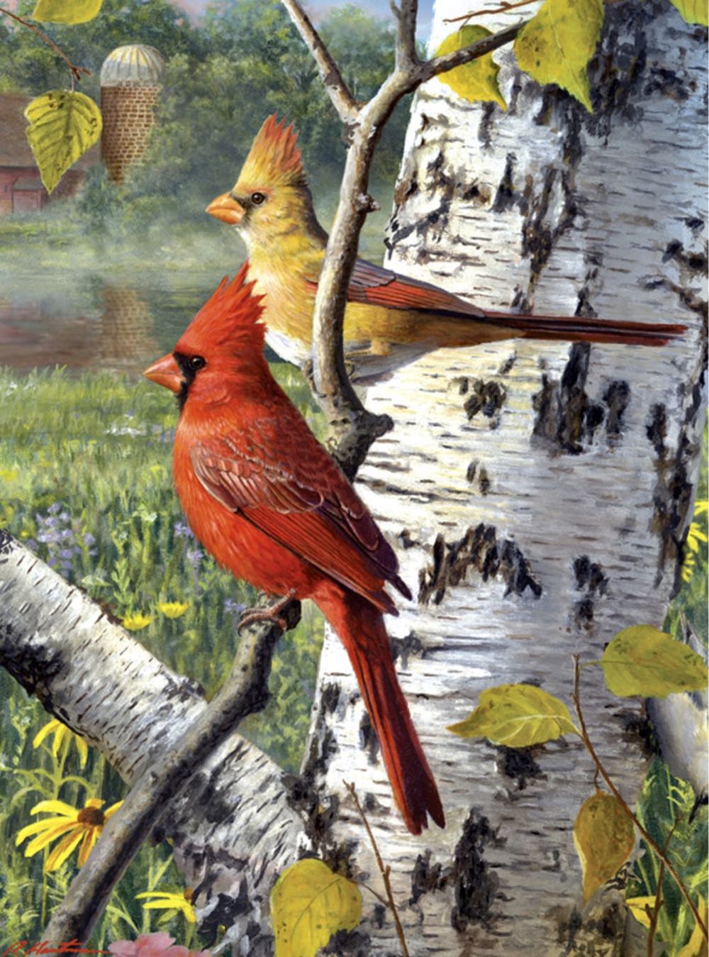 Songbirds & Hollyhocks