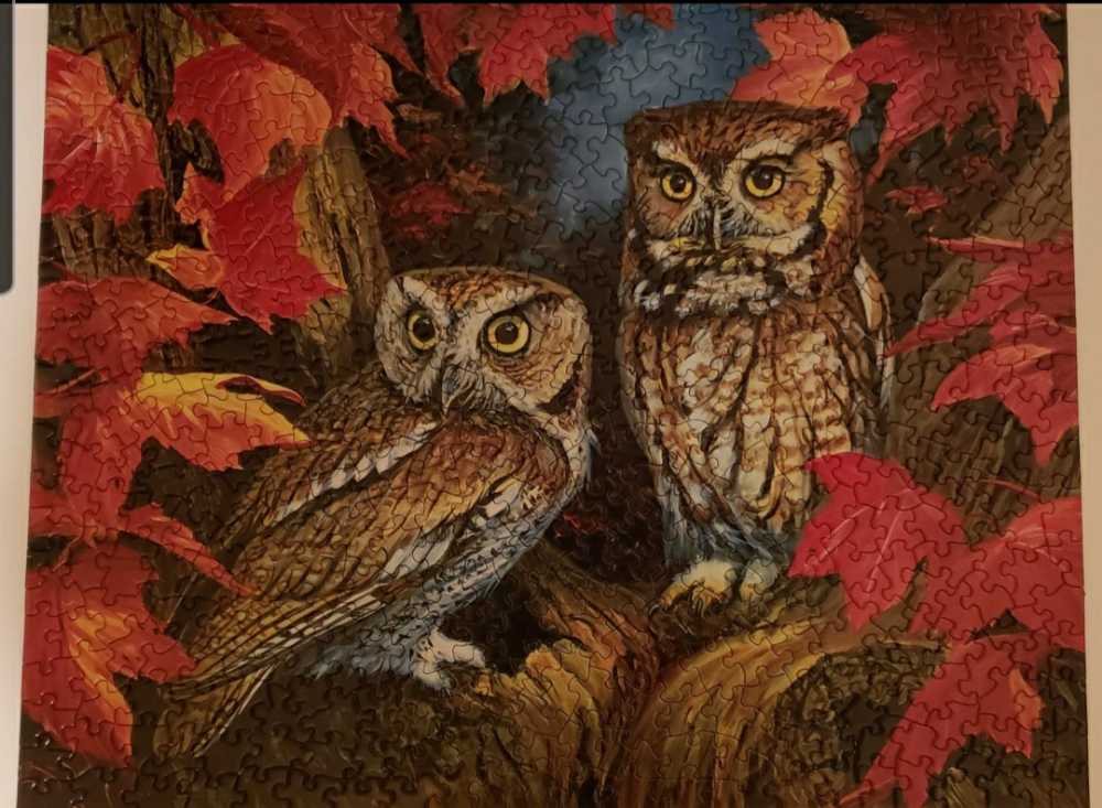 Two Screech Owls - Bits & Pieces puzzle collectible - Main Image 3