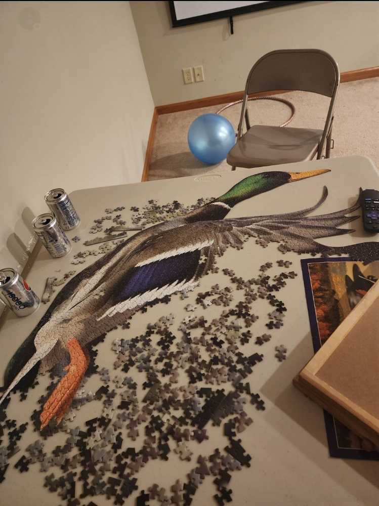 I Am Duck - Madd Capp Puzzles puzzle collectible [Barcode 040232569456] - Main Image 2