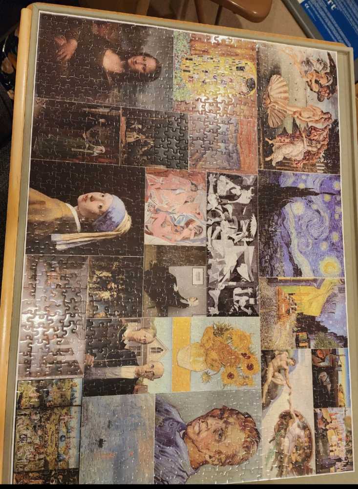 Leicester Sunflowers