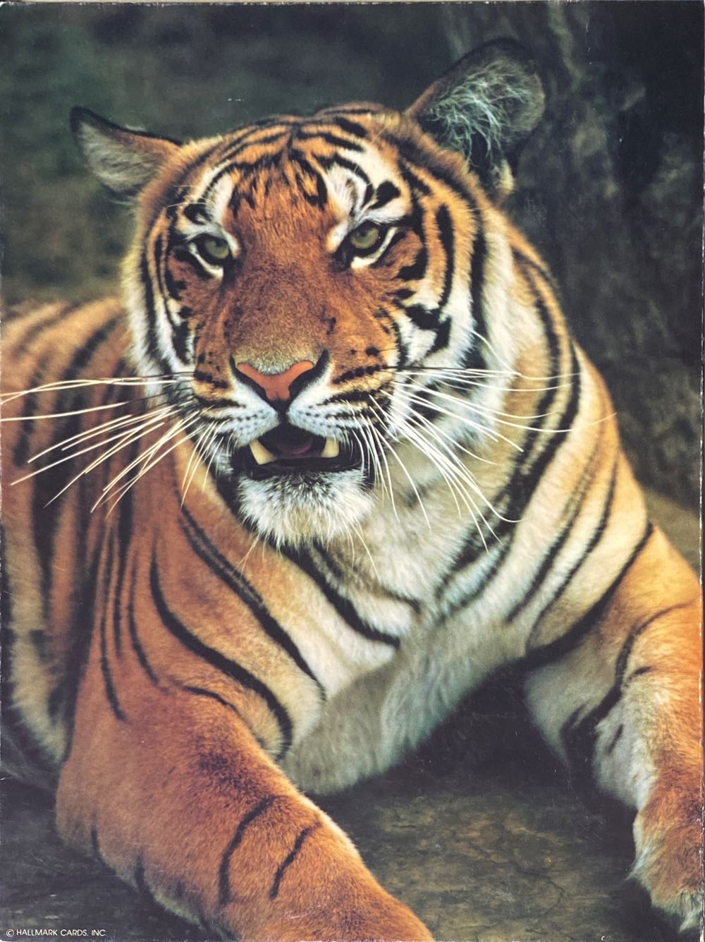 Colorful Ceramic Dishes