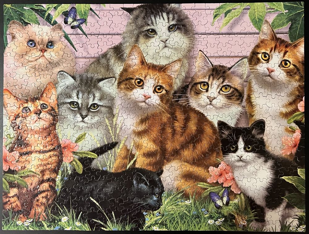 Cool Cats-BORROWED - White Mountain puzzle collectible [Barcode 724819251568] - Main Image 2
