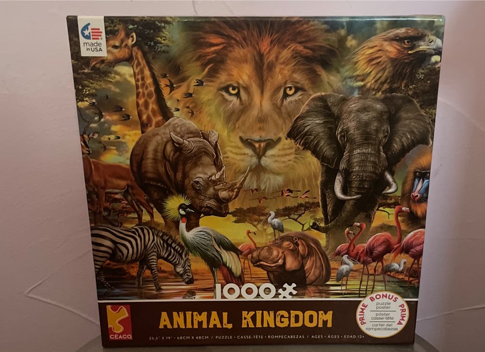 SunsOut Inc -Spring Season