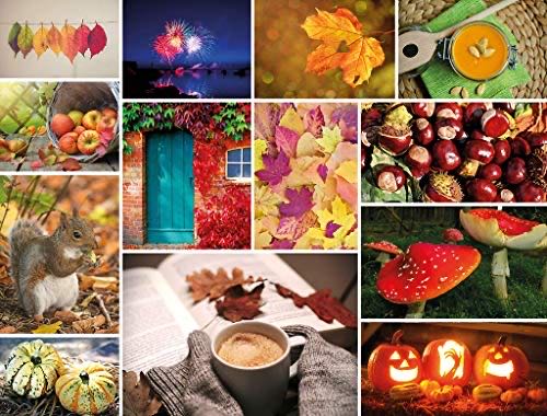 Eurographics: Cookies