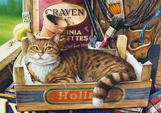 Fothergill 🟦 - Castorland puzzle collectible [Barcode 5904438053476] - Main Image 2