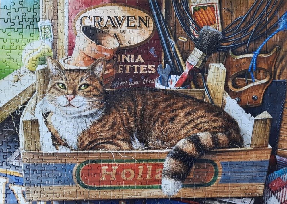 Fothergill 🟦 - Castorland puzzle collectible [Barcode 5904438053476] - Main Image 3