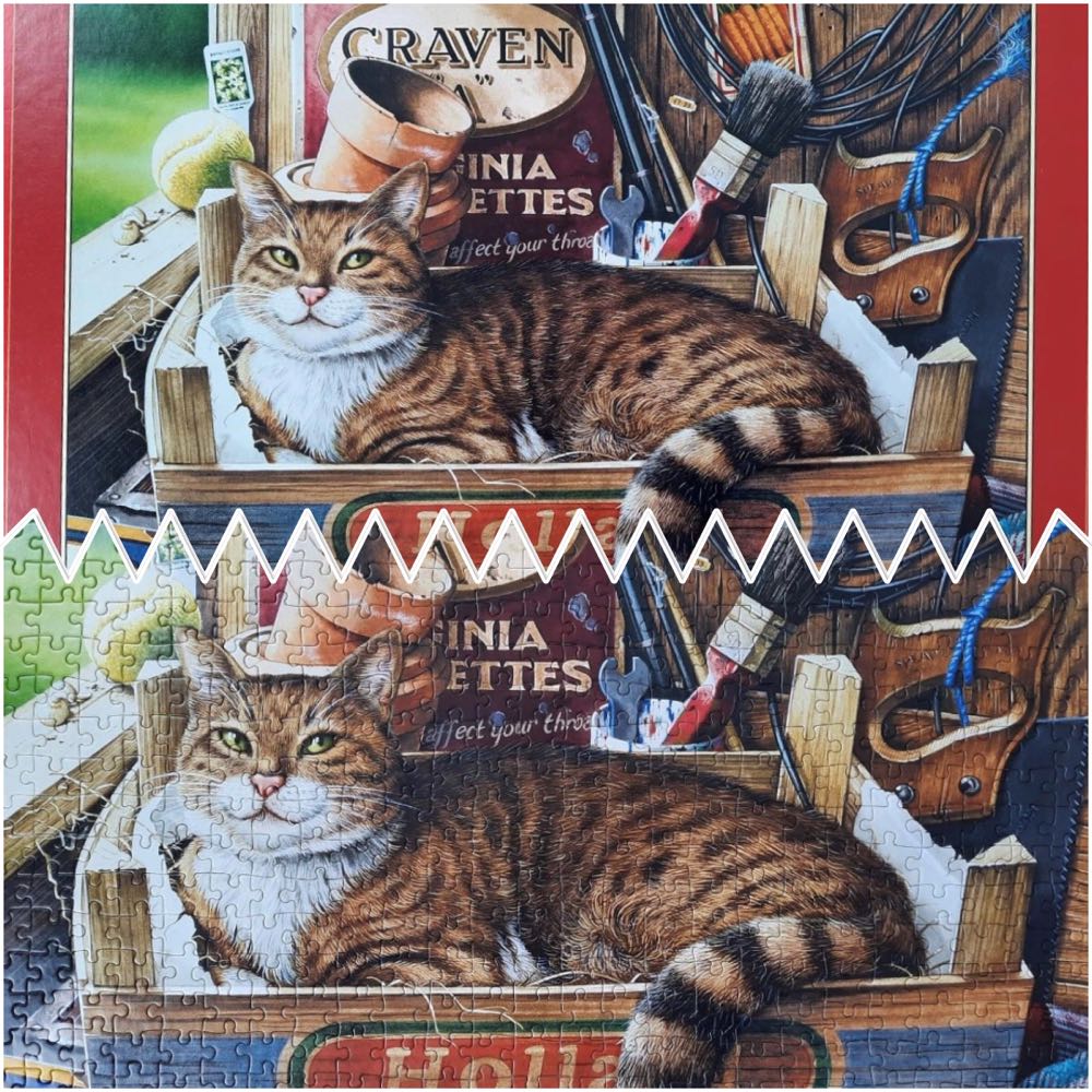 Fothergill 🟦 - Castorland puzzle collectible [Barcode 5904438053476] - Main Image 4