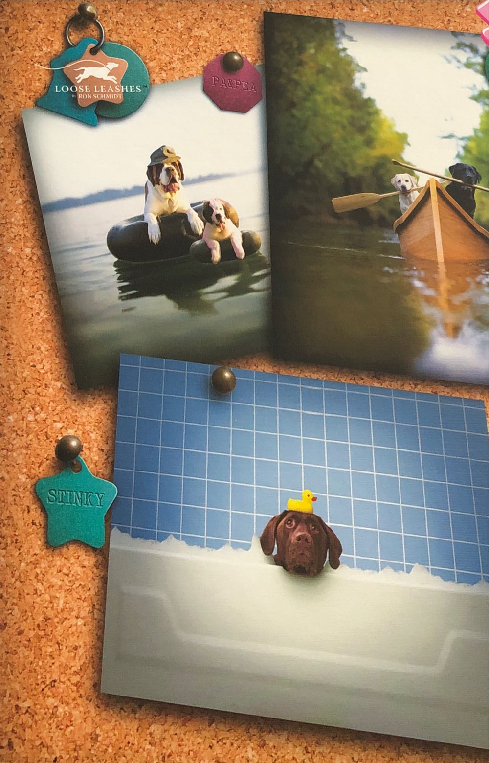 Photo Gallery Set Of 10