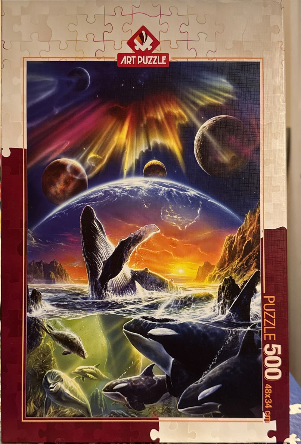 Through The Cottage Window