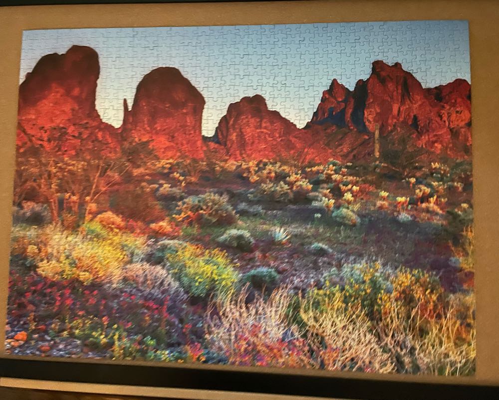 Arizona Desert - Good Puzzle Co. (Galison) puzzle collectible [Barcode 616430291101] - Main Image 2