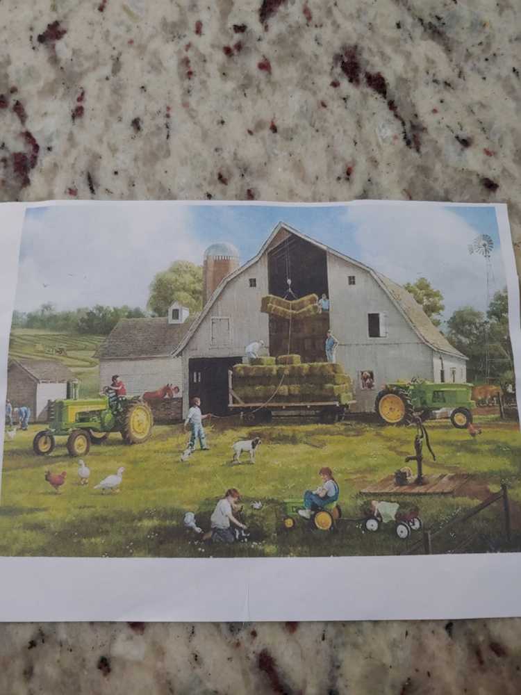 Diary Of A Wimpy Kid:  The Dog Days