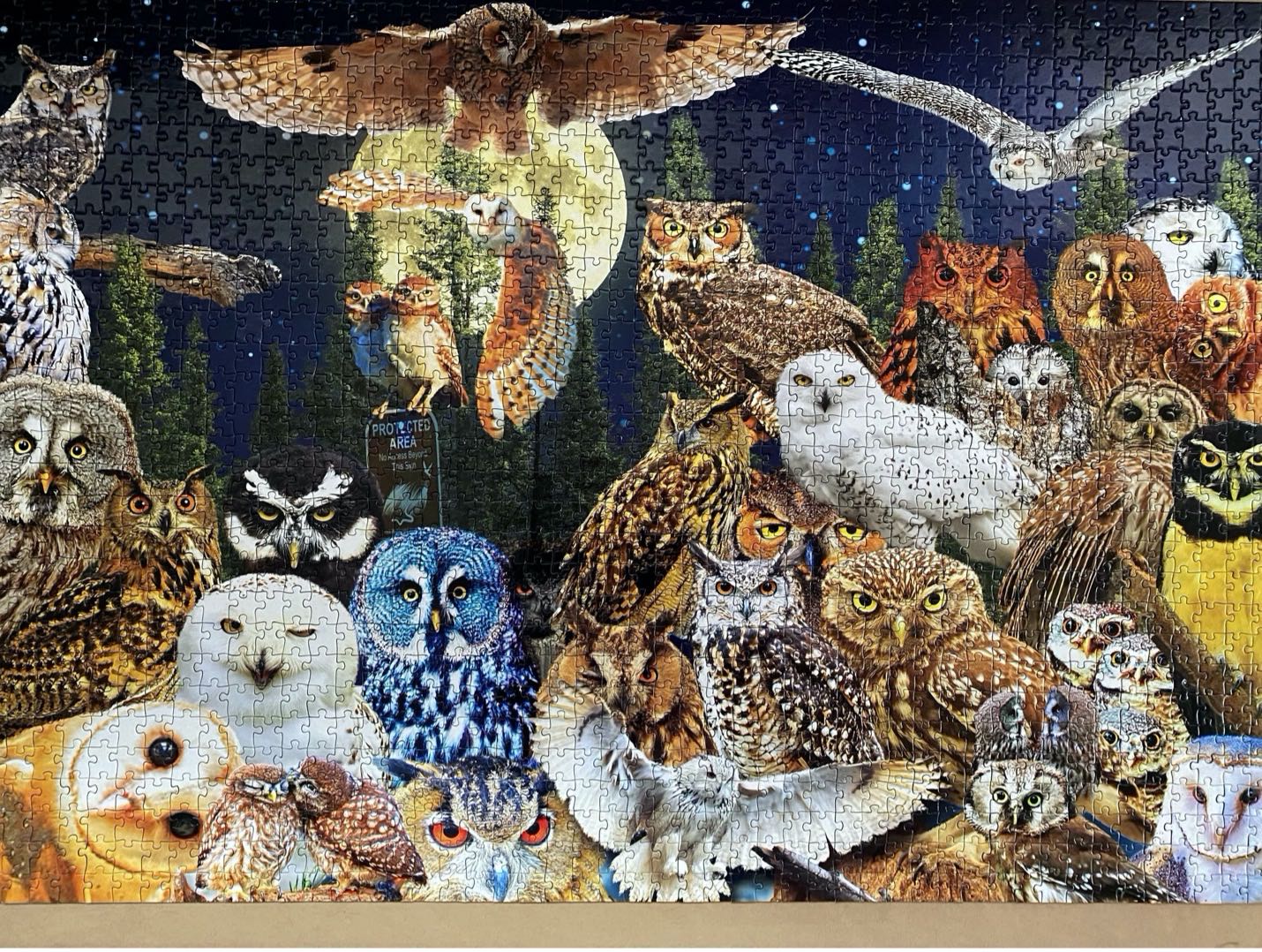 Night Owls - CraZArt puzzle collectible - Main Image 2