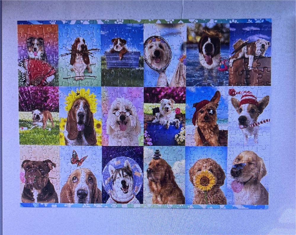 Its A Ruff Life (traded) - Buffalo puzzle collectible - Main Image 2