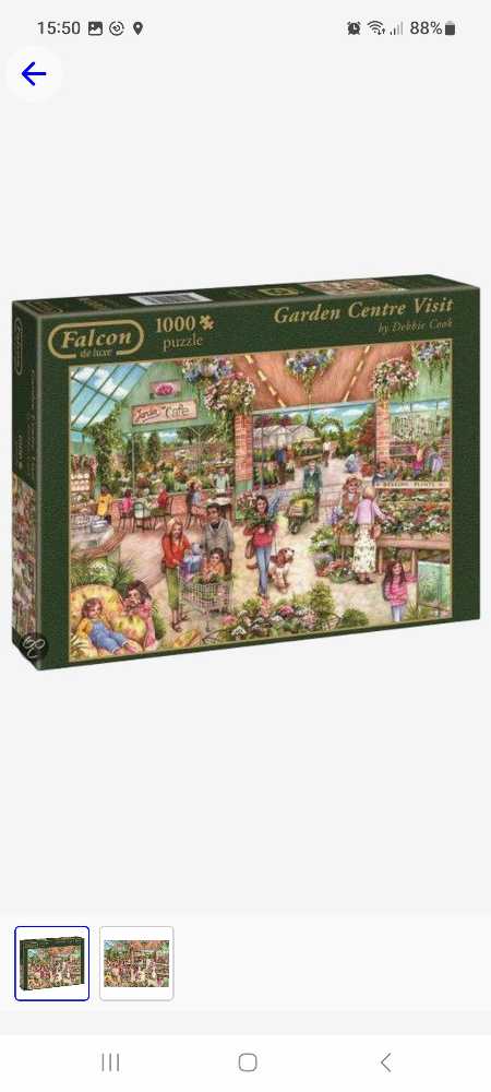 Rapunzel on the Tower