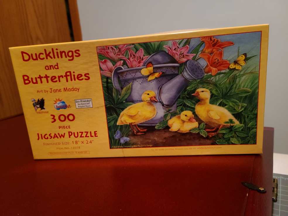 Fun In The Sun Selfie