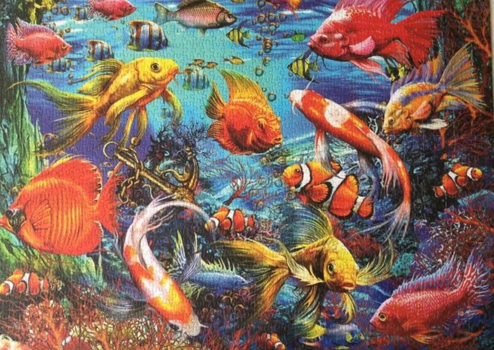 Tropical Fish - Bluebird Puzzle puzzle collectible [Barcode 3663384701924] - Main Image 3