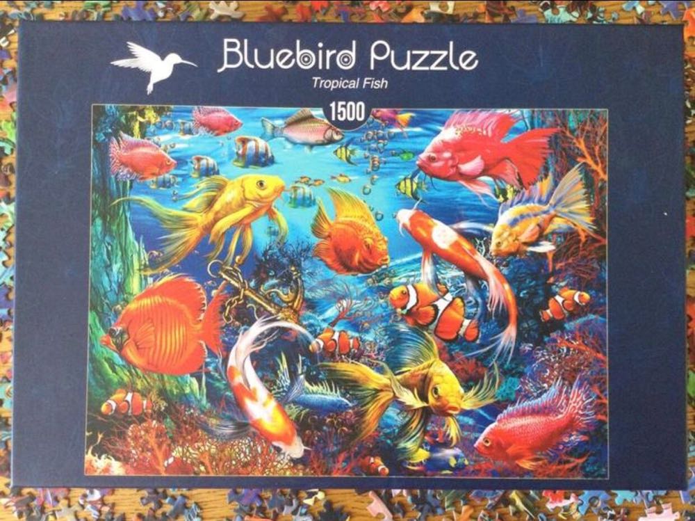 Tropical Fish - Bluebird Puzzle puzzle collectible [Barcode 3663384701924] - Main Image 4