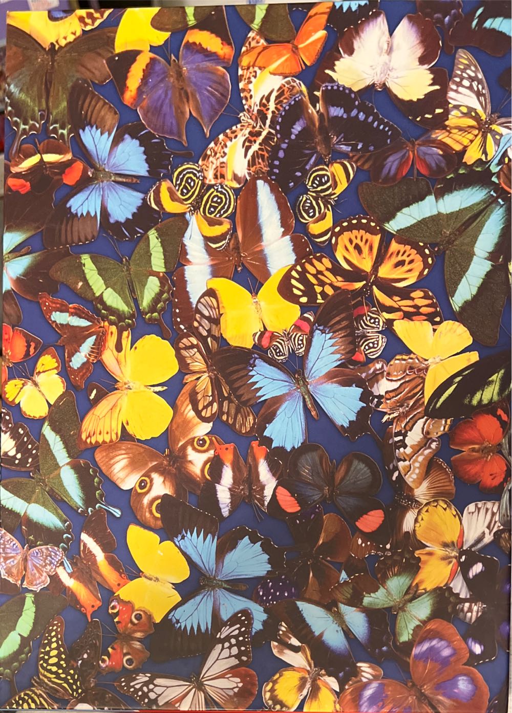 Wasgij Original 17 - Ballroom Blushes