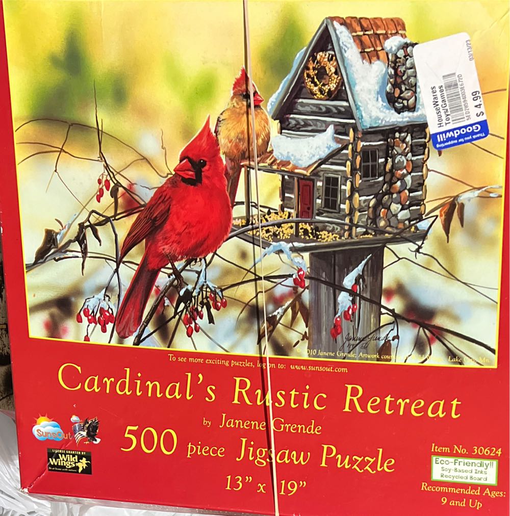 Flower Fairies Wild Cherry Blossom🟦