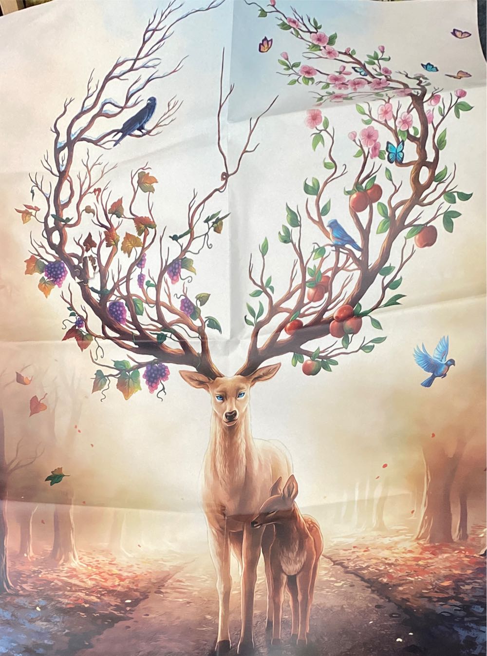 Flower Fairies Wild Cherry Blossom🟦