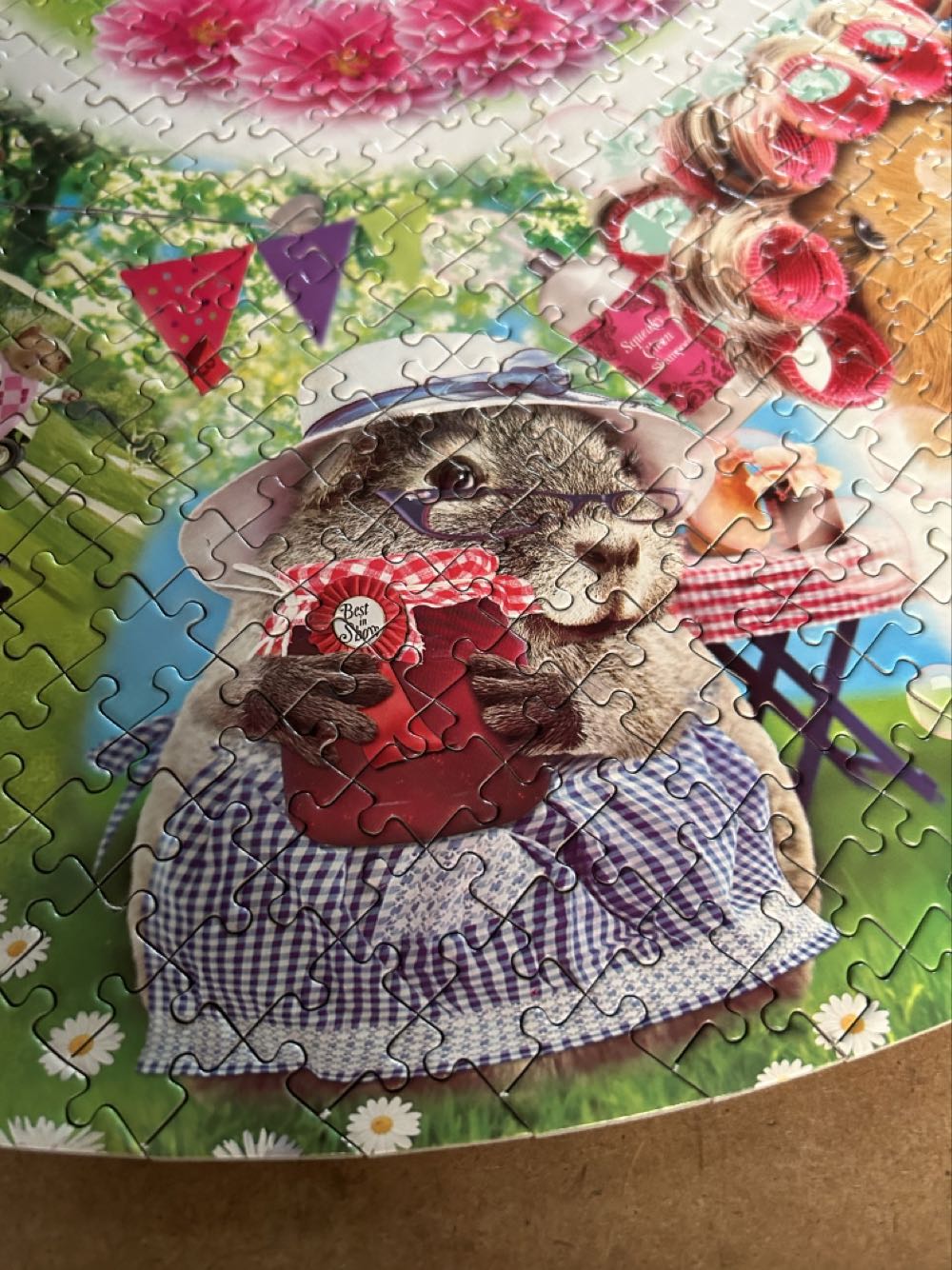 The Crazy Gang - Otter House puzzle collectible [Barcode 6655985887760] - Main Image 4