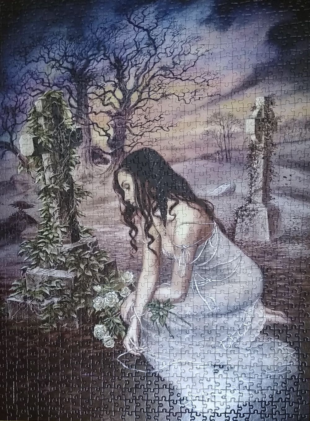 Nihil Acre 🟦 - Clementoni puzzle collectible [Barcode 8005125916900] - Main Image 3