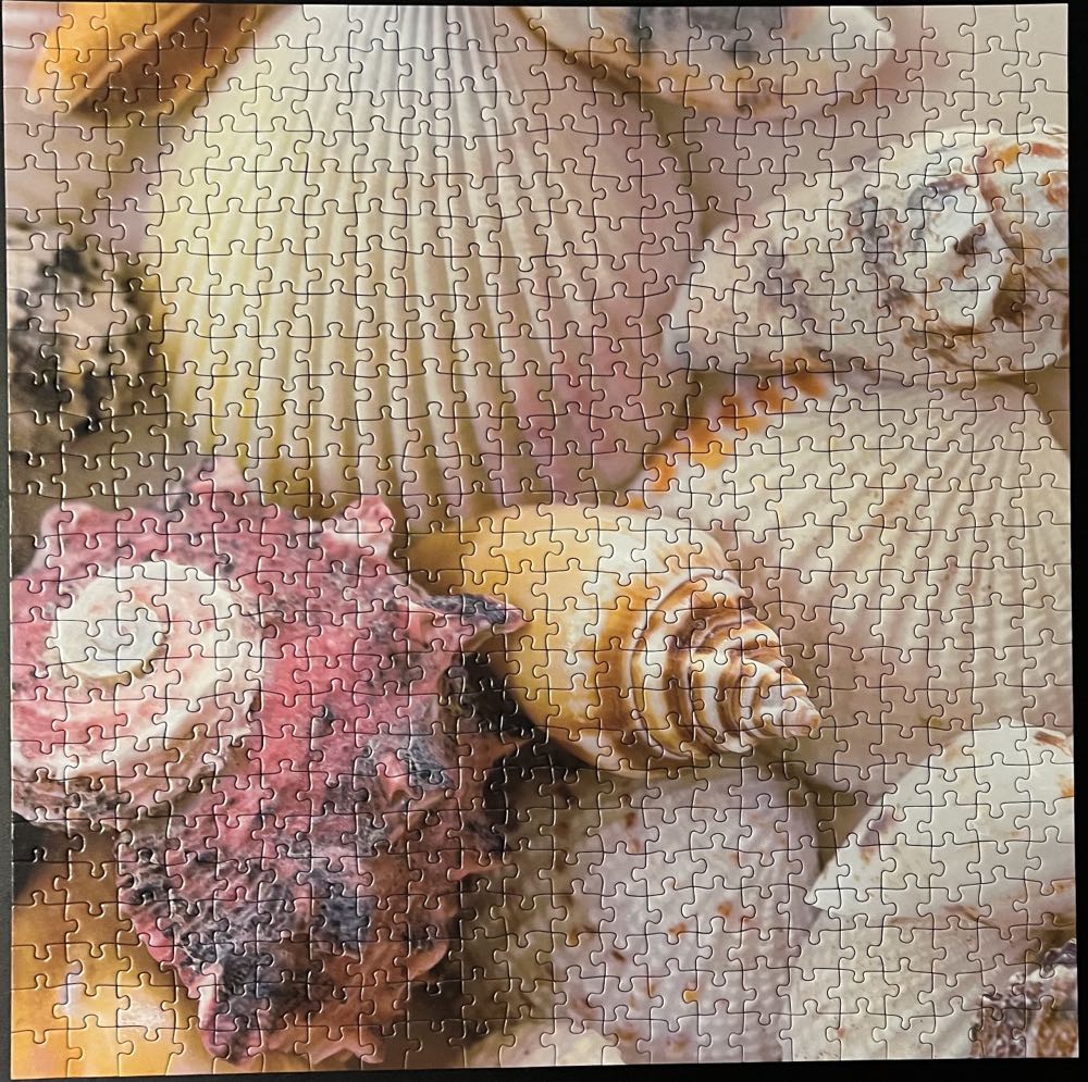 Beach Shells - 378, 4/8/23 - Ravensburger puzzle collectible [Barcode 4005556152261] - Main Image 2