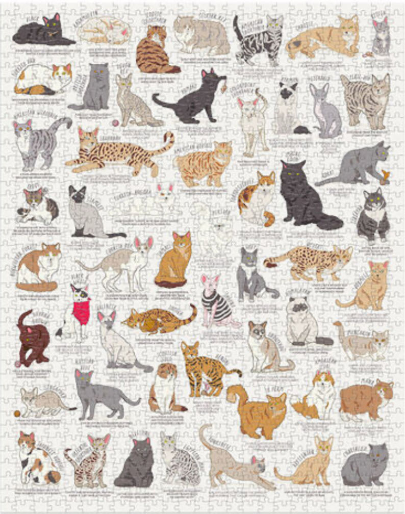 The Cat Lovers Jigsaw Puzzle - Ridley’s puzzle collectible [Barcode 5055923785751] - Main Image 2