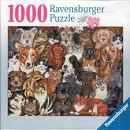 Sailing on-the River