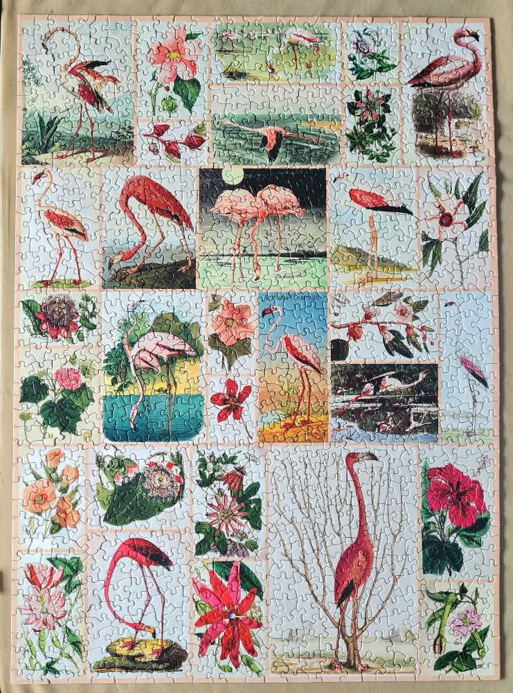 Flamingos And Flowers - New York Puzzle Company puzzle collectible [Barcode 840291700971] - Main Image 2