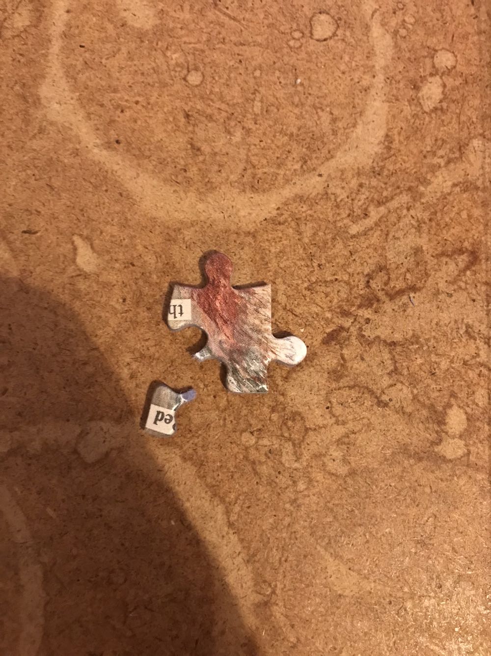 Sun Bears & Sloths  - Gibsons puzzle collectible - Main Image 4