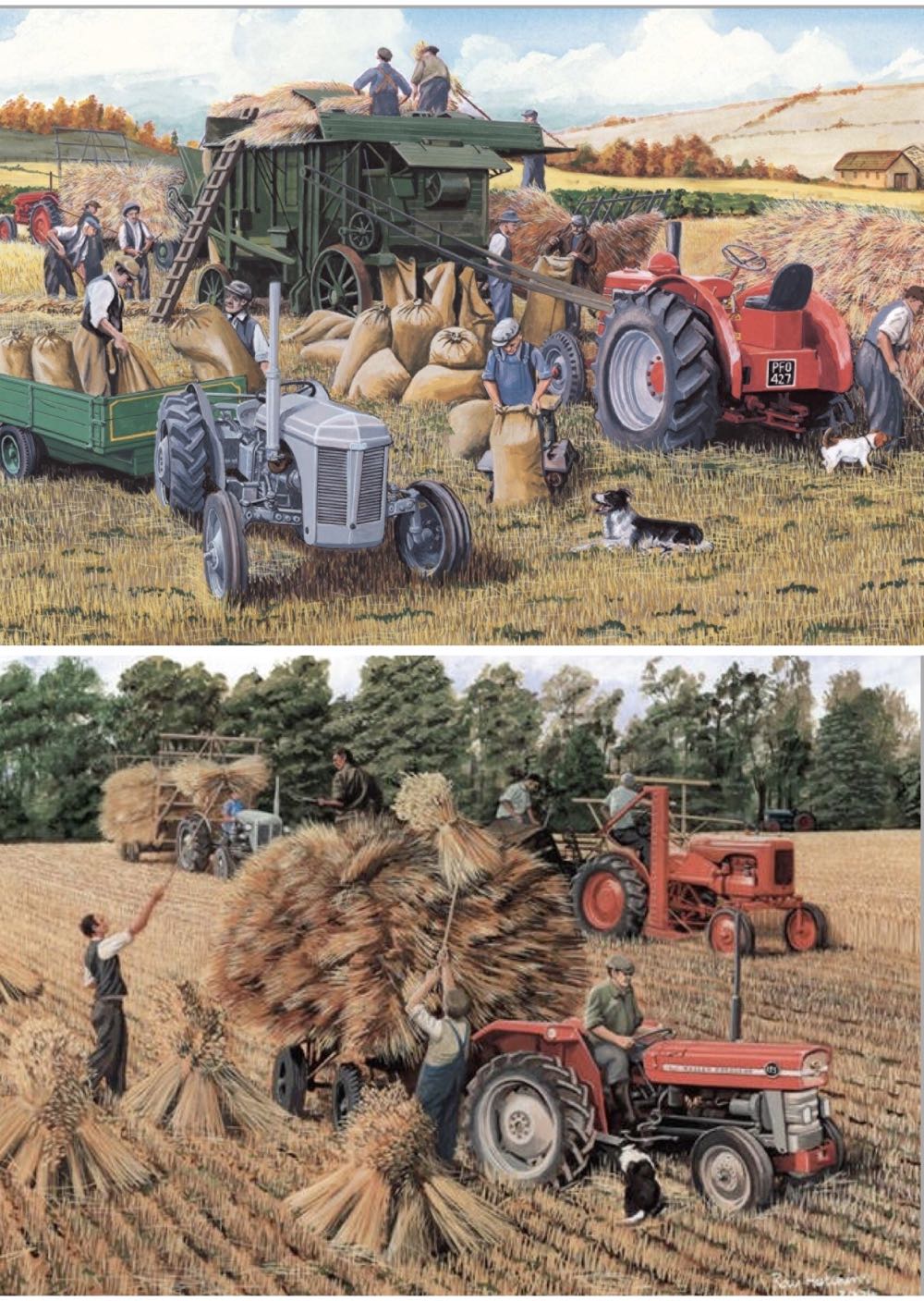 Harvesting - Falcon de luxe puzzle collectible [Barcode 8710126111246] - Main Image 2