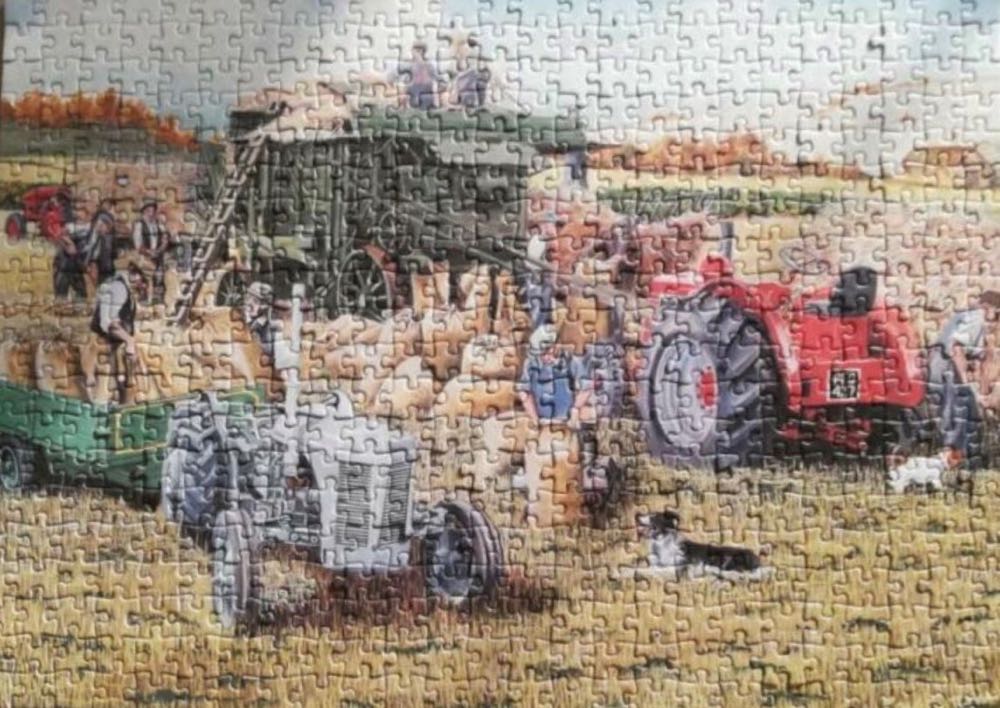 Harvesting - Falcon de luxe puzzle collectible [Barcode 8710126111246] - Main Image 3