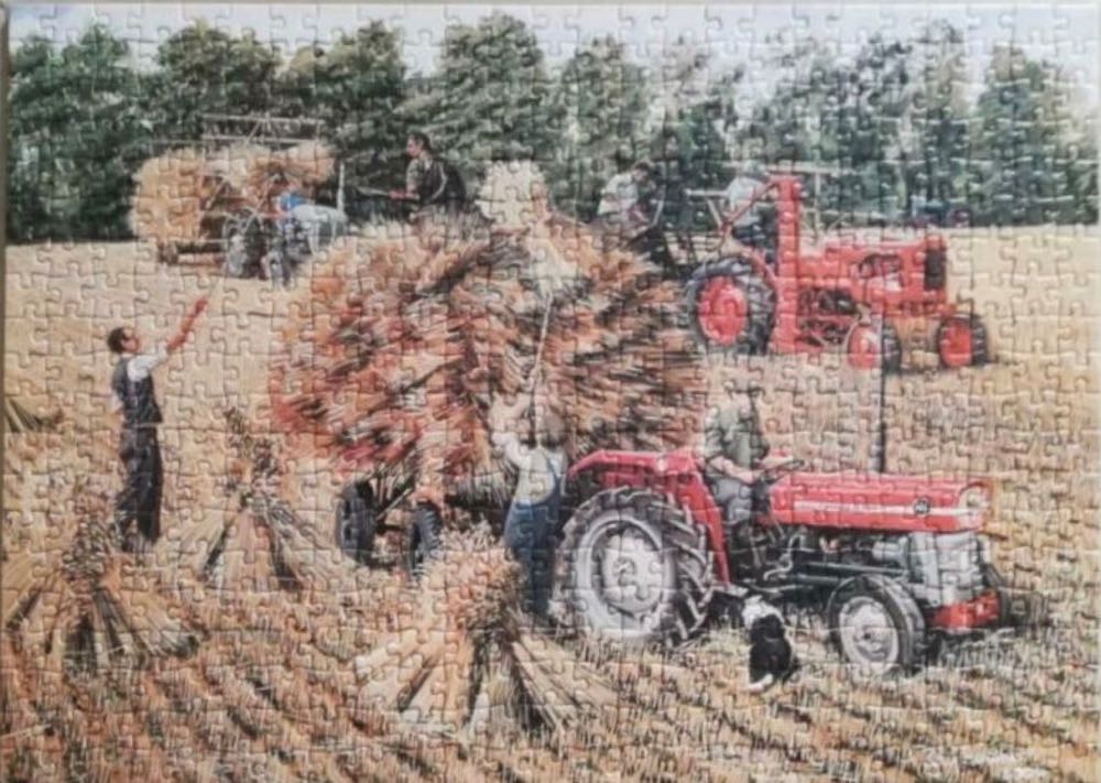 Harvesting - Falcon de luxe puzzle collectible [Barcode 8710126111246] - Main Image 4