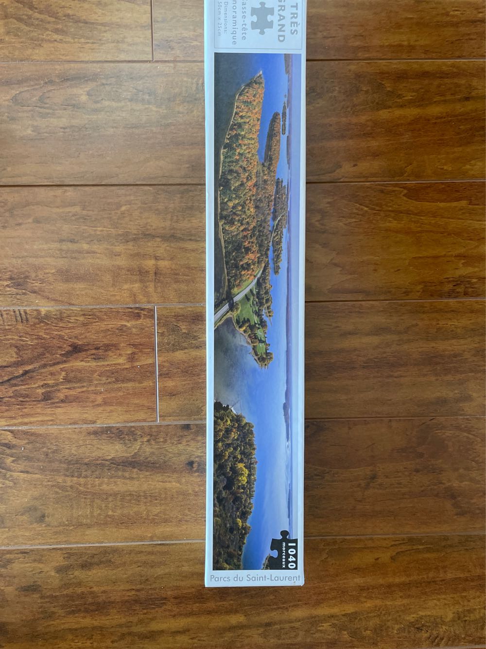 Mountain Christmas Train-done