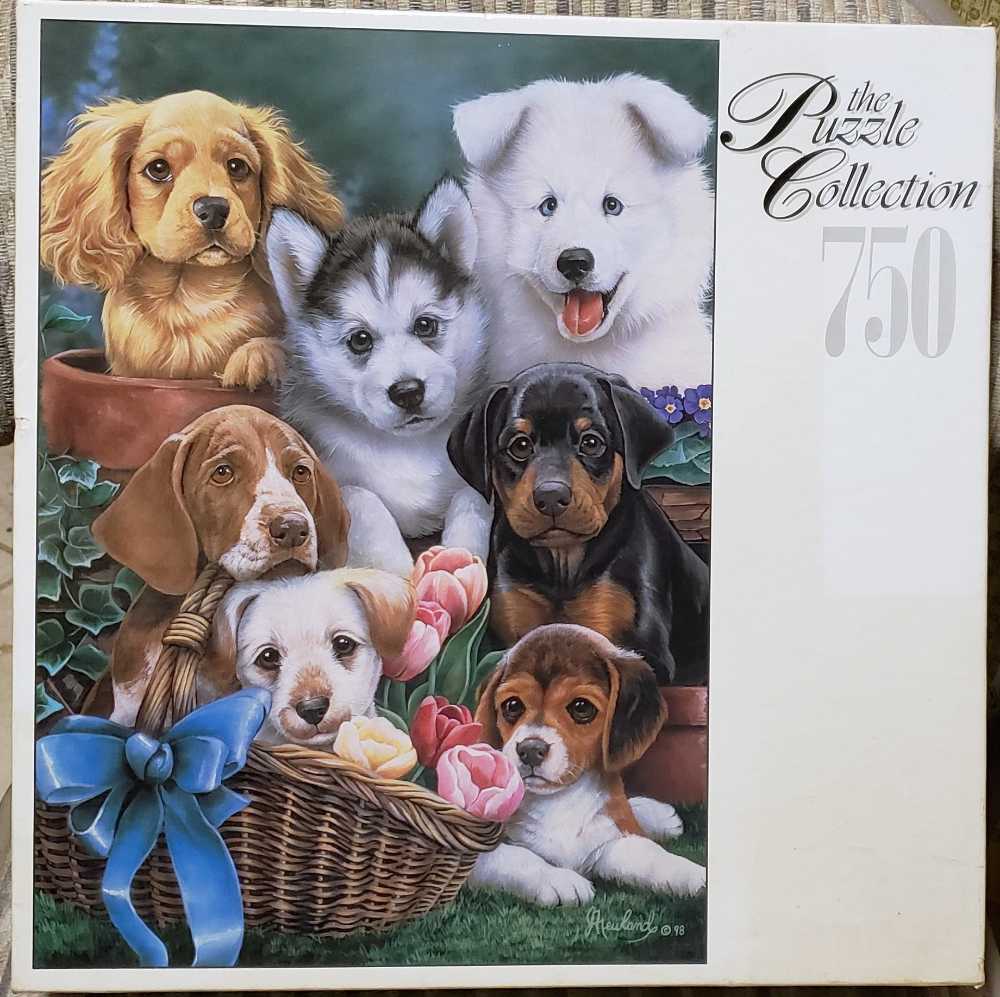 Sunset By The Rocky Coast