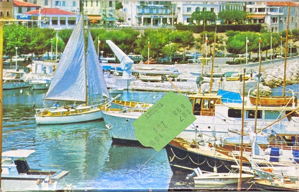 Wild Shimmer & Shine