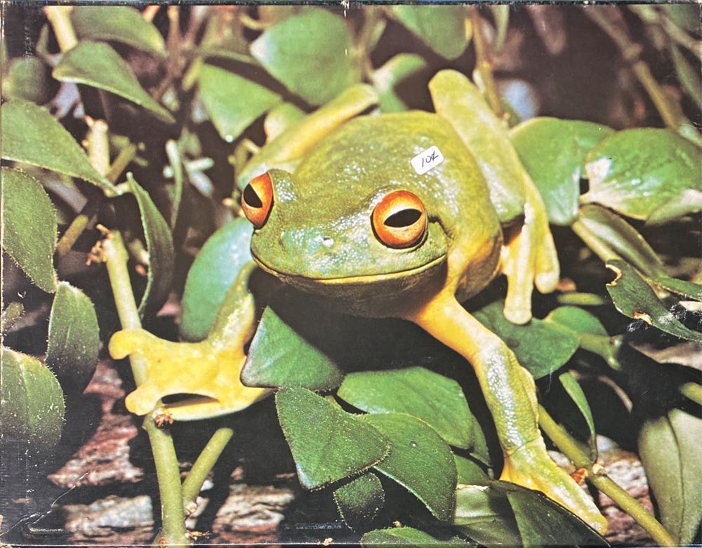 New York - Night And Day