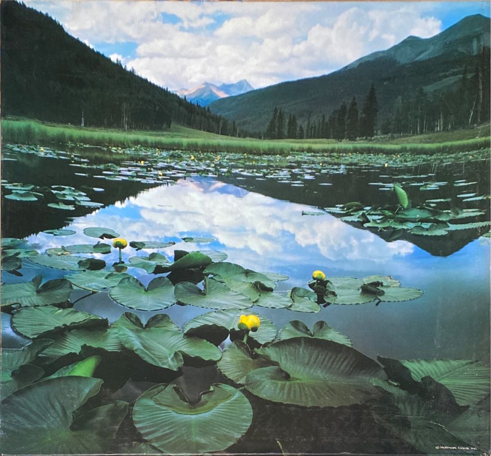 Good Day For The Ducks