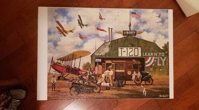 Puppies In The Bedroom