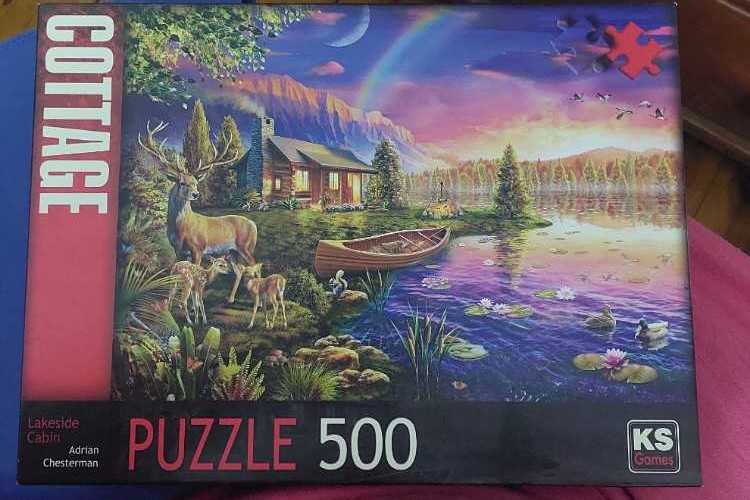 Flowers & Butterflies