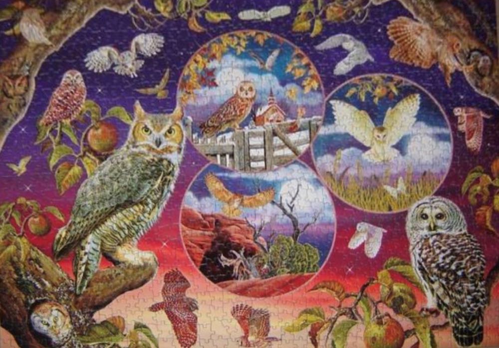 Owl Magic 🐦 - Cobble Hill Puzzle Company puzzle collectible [Barcode 0625012802208] - Main Image 3